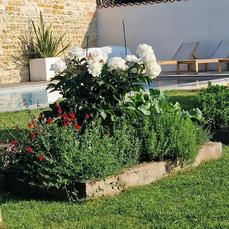 Domaine De Famille Aux Deux Vieux Platanes 别墅