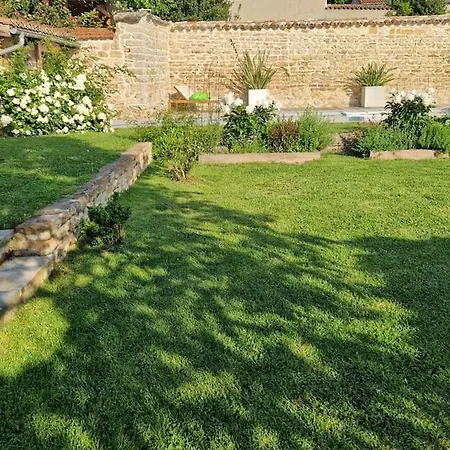 Domaine De Famille Aux Deux Vieux Platanes Saint-Germain-au-Mont-dʼOr