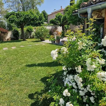 Villa Domaine De Famille Aux Deux Vieux Platanes Saint-Germain-au-Mont-dʼOr