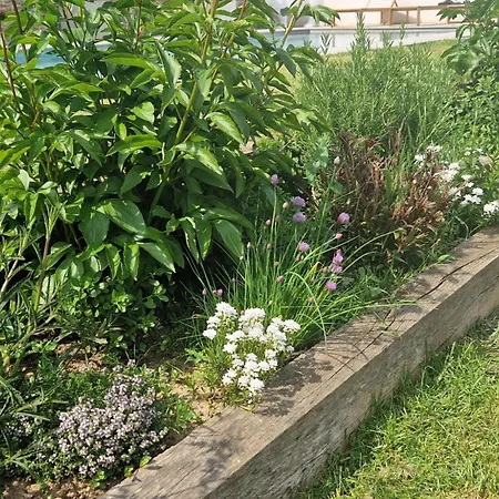 Domaine De Famille Aux Deux Vieux Platanes *