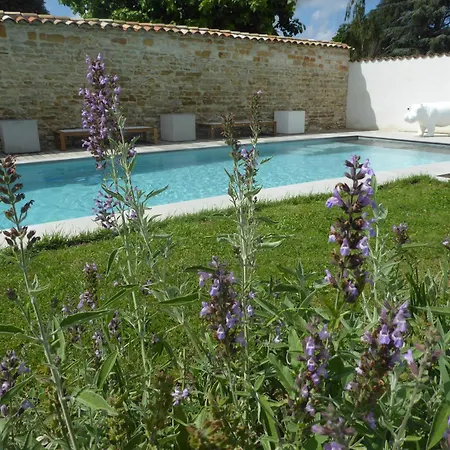 Domaine De Famille Aux Deux Vieux Platanes Villa *